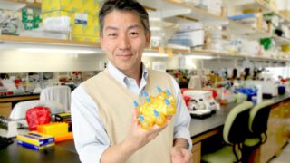Stem cells may offer hope for children with Hurler syndrome